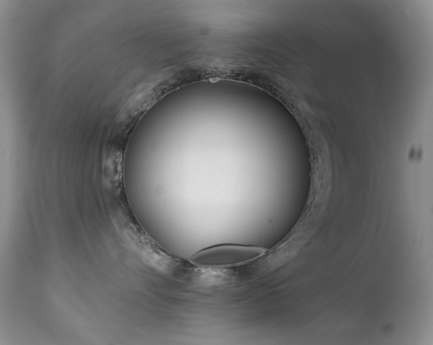 X0000112460528200908171206