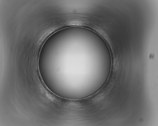 X0000112460529200908171205