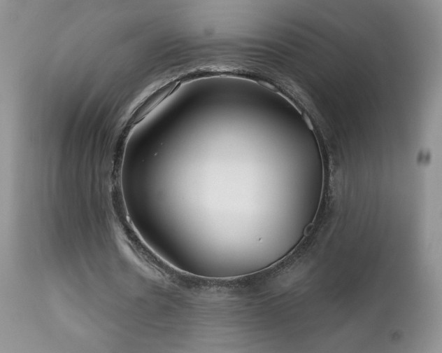X0000112460530200908171205