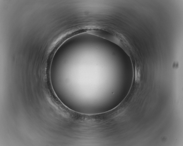 X0000112460531200908171205