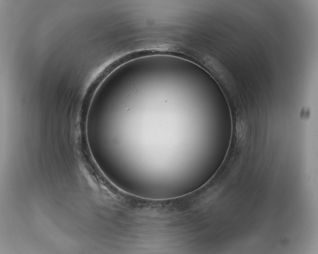 X0000112460532200908171205