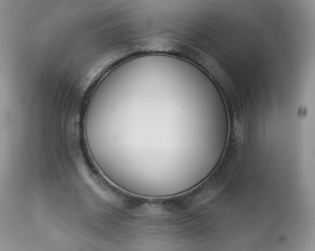 X0000112460534200908171205