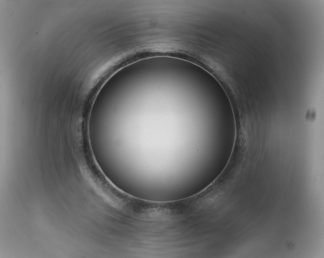 X0000112460535200908171205