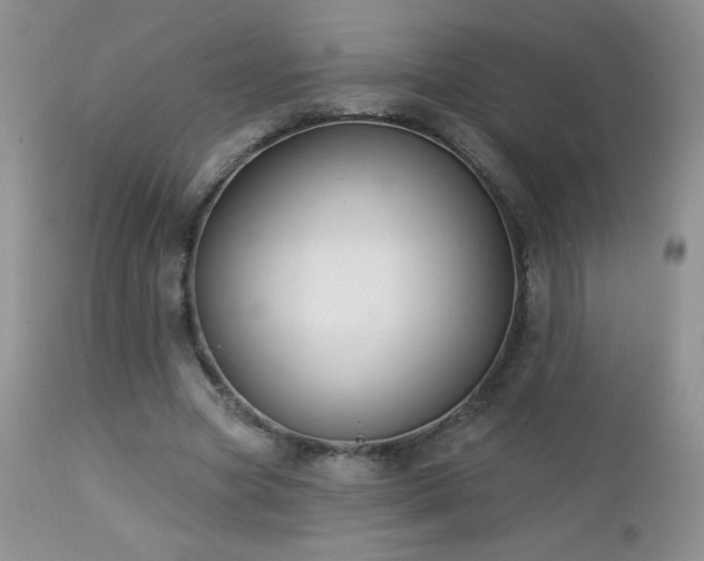 X0000112460537200908171205