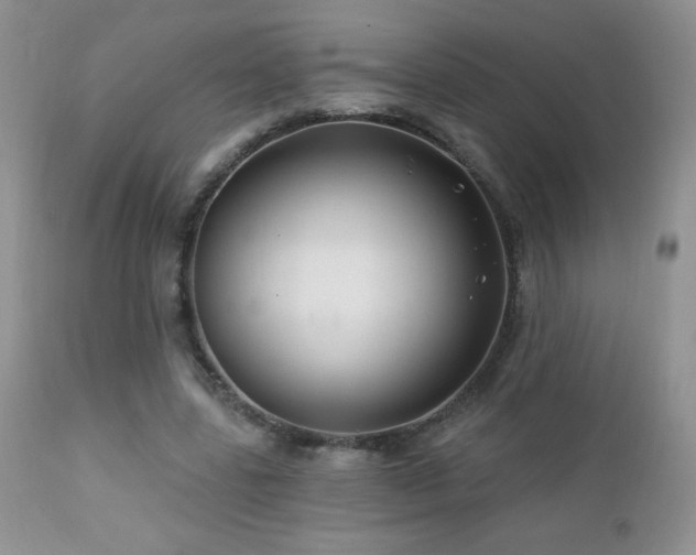 X0000112460539200908171205