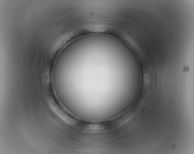 X0000112460541200908171205