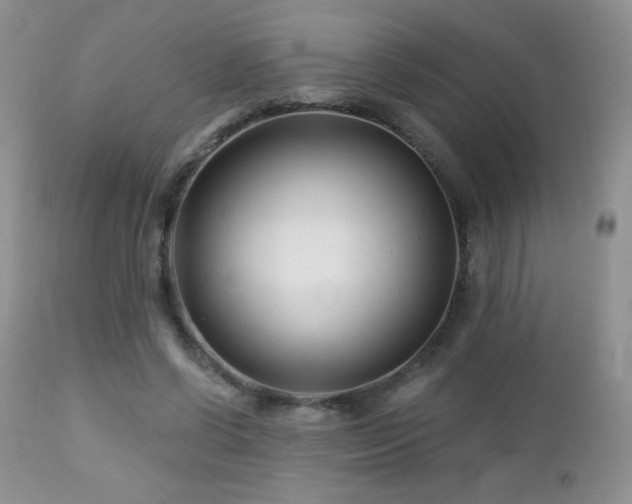 X0000112460542200908171205