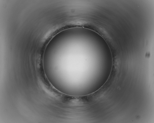 X0000112460544200908171205