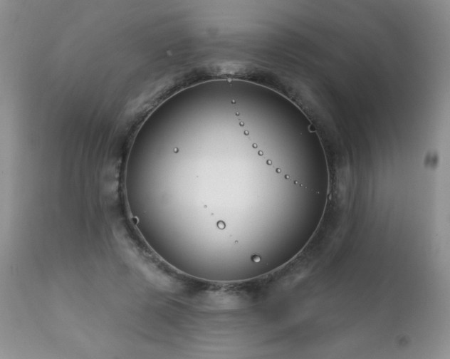 X0000112460545200908171205
