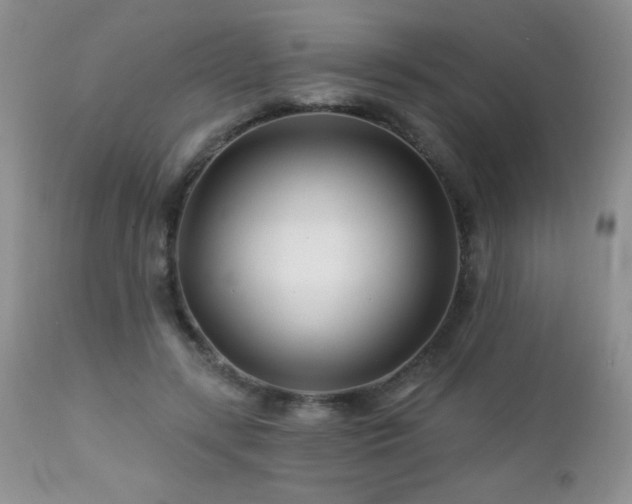 X0000112460547200908171205