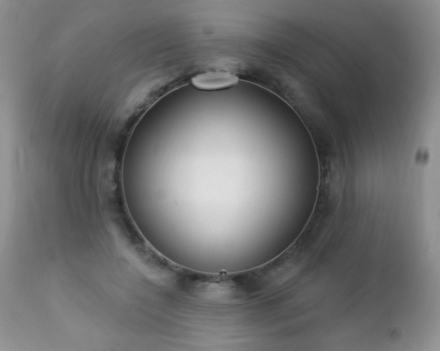 X0000112460548200908171205