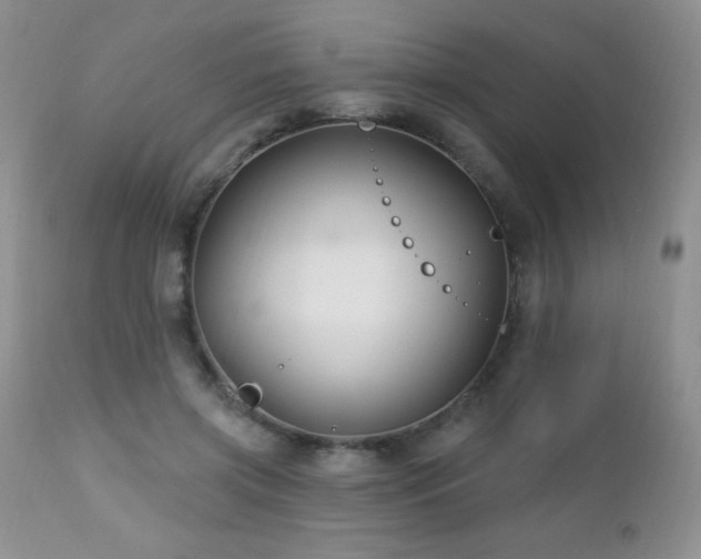 X0000112460549200908171205