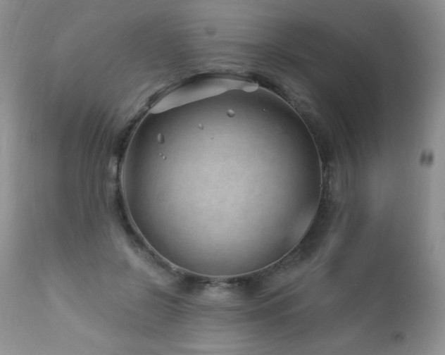 X0000112460550200908171205