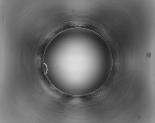 X0000112460551200908171205