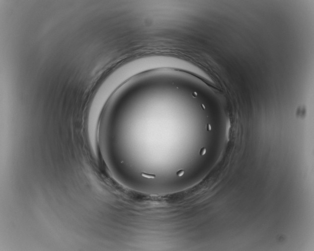X0000112460552200908171205