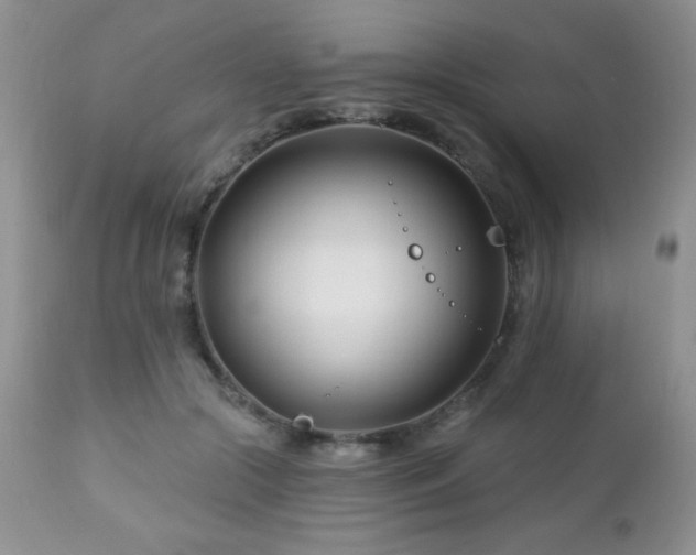 X0000112460553200908171205