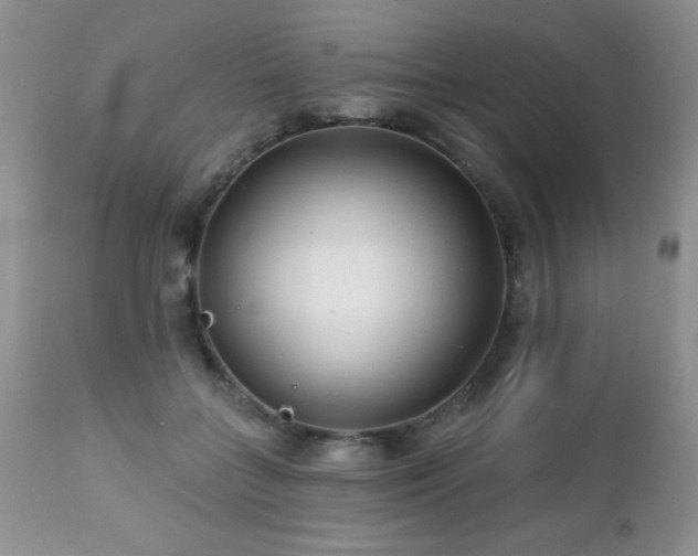 X0000112460555200908171205