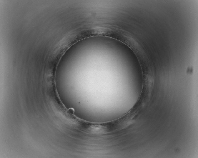 X0000112460557200908171206