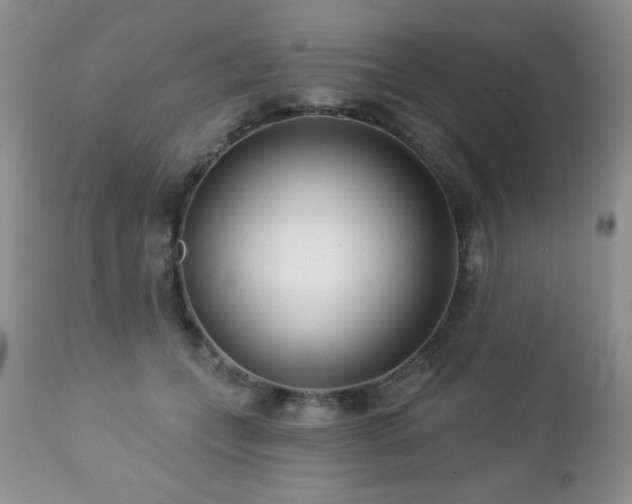 X0000112460559200908171206