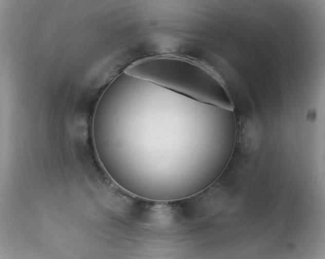 X0000112460562200908171206