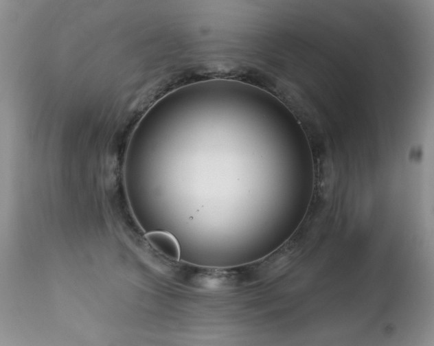 X0000112460563200908171206