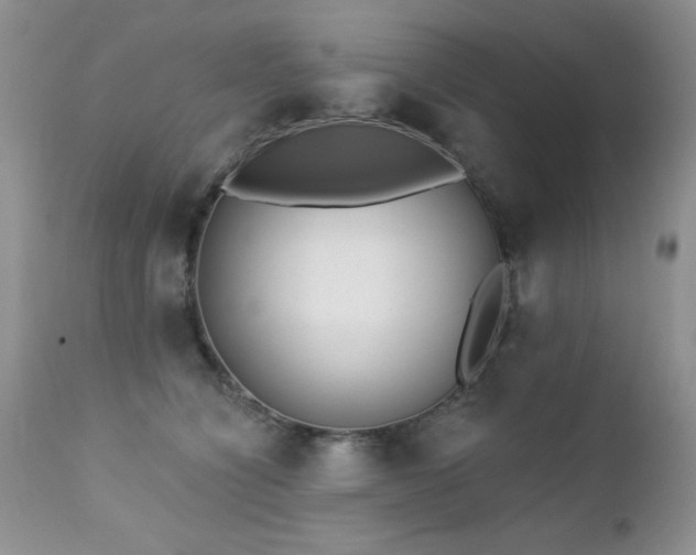 X0000112460564200908171206