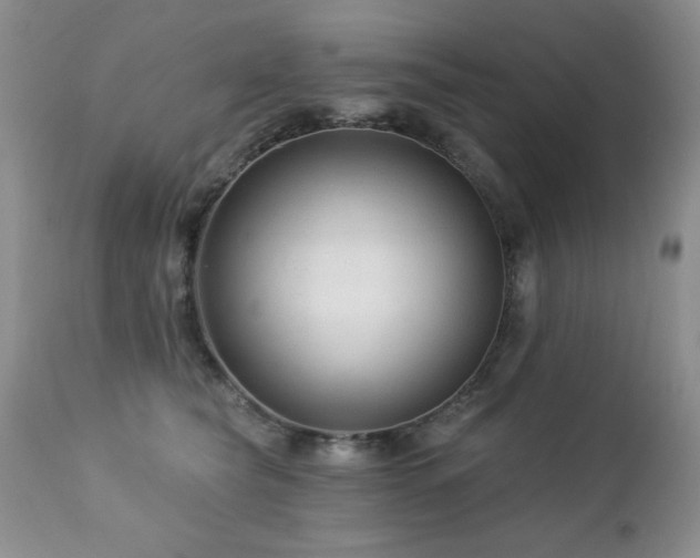X0000112460565200908171206