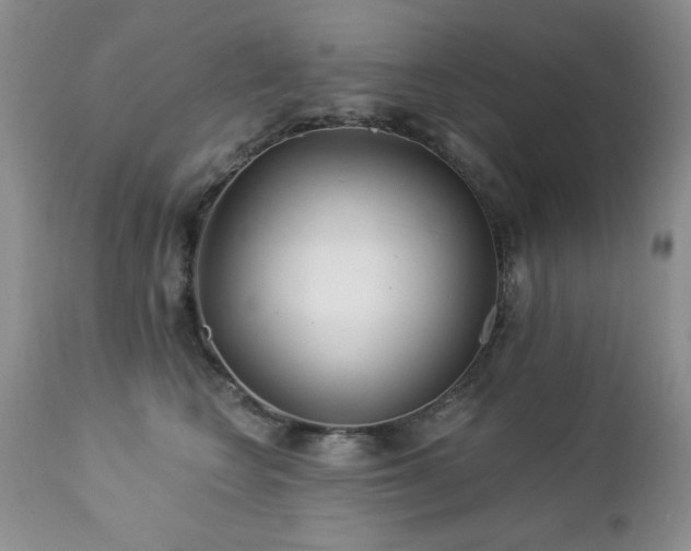 X0000112460566200908171206