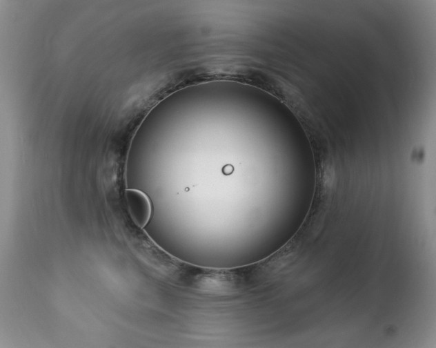 X0000112460567200908171206
