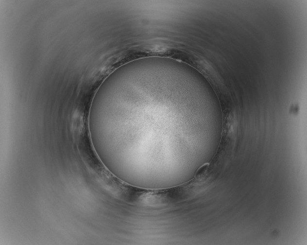 X0000112460568200908171206
