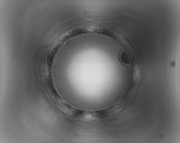 X0000112460569200908171206