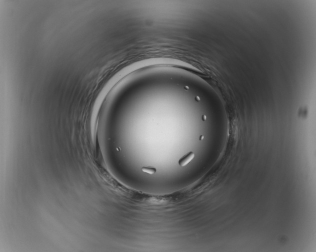 X0000112460570200908171206