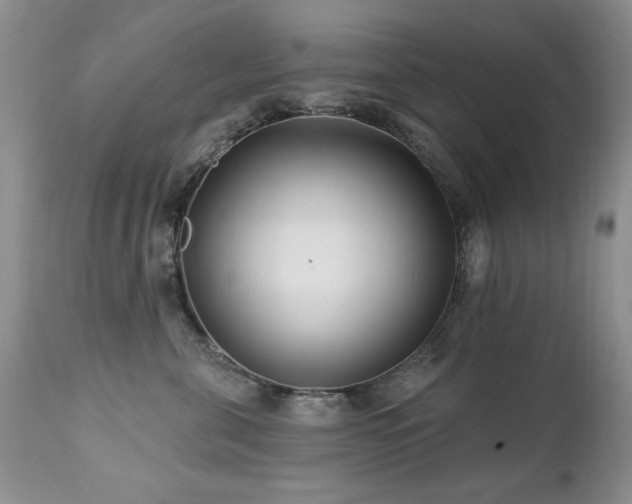 X0000112460571200908171206