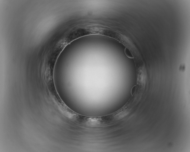 X0000112460573200908171206