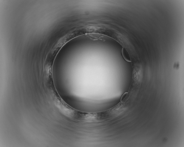 X0000112460574200908171206