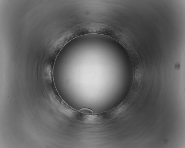 X0000112460575200908171206