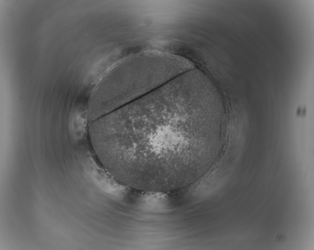 X0000112460576200908171206