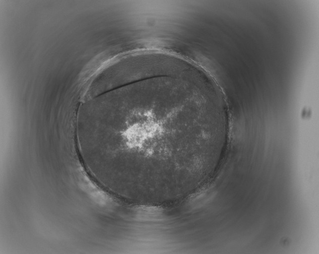 X0000112460577200908171205