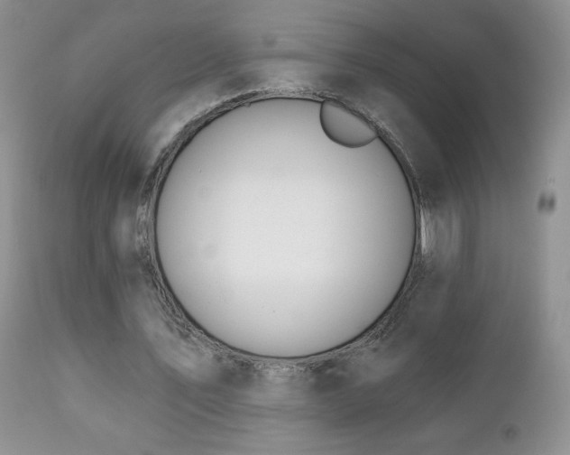 X0000112460579200908171205