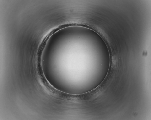 X0000112460580200908171205