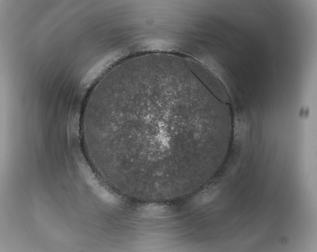 X0000112460581200908171205