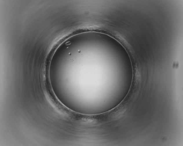 X0000112460582200908171205