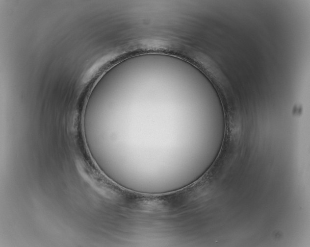X0000112460583200908171205
