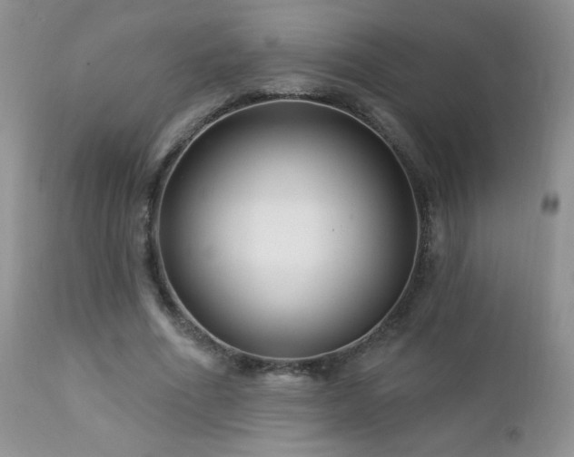 X0000112460586200908171205