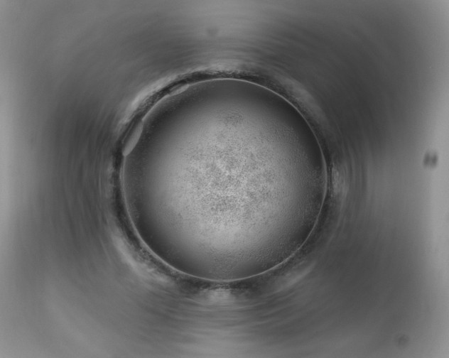 X0000112460588200908171205