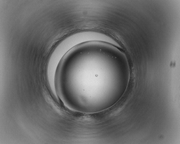 X0000112460589200908171205