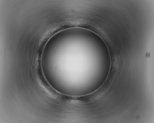 X0000112460590200908171205