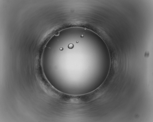 X0000112460591200908171205