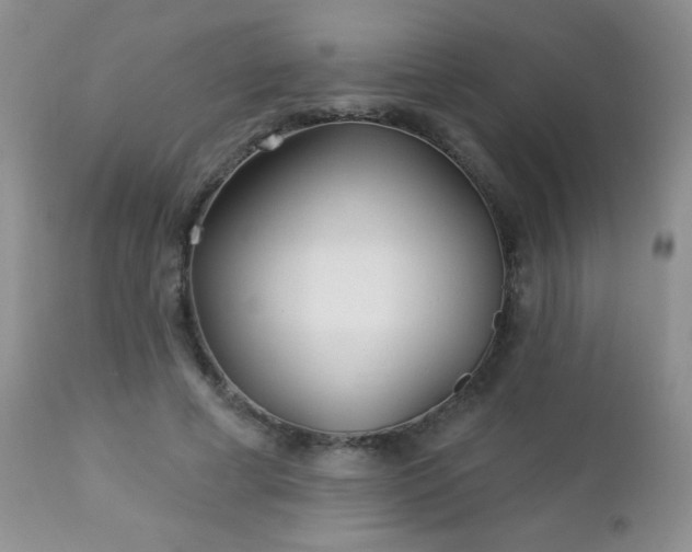 X0000112460593200908171205