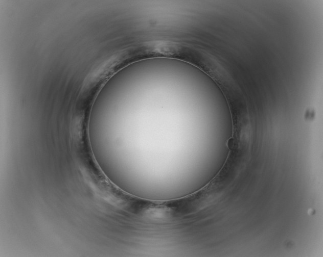 X0000112460595200908171205